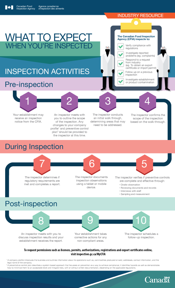 Infographic - What to Expect When Inspected. Description Follows.