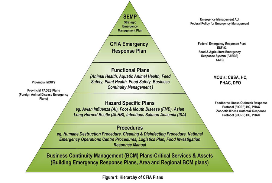 Pyramid describing the Hierarchy of CFIA emergency plans. Description follows.