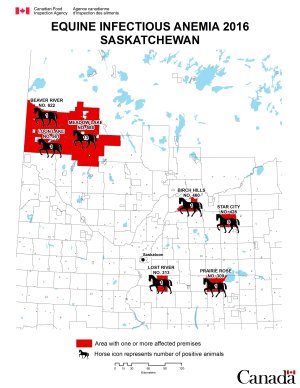 Map - Equine Infectious Anemia 2016, Saskatchewan. Description follows.