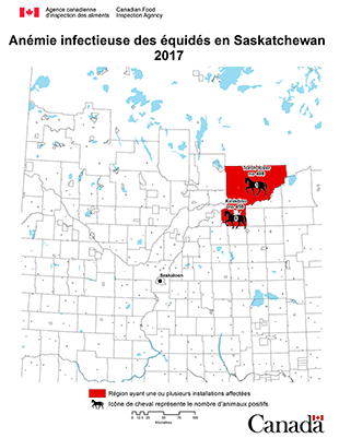 Carte - anémie infectieuse des équidés en Saskatchewan 2017. Description ci-dessous