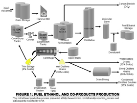 Fuel Ethanol and Co-Products Production