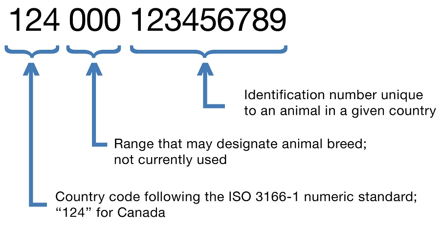 Picture - Figure 3: ISO 11784 standard number format. Description follows.