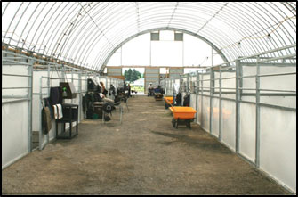 A photograph of the inside of a large horse facility.