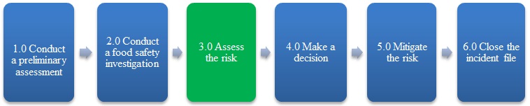 The third step, assess the risk, is highlighted. Description follows.