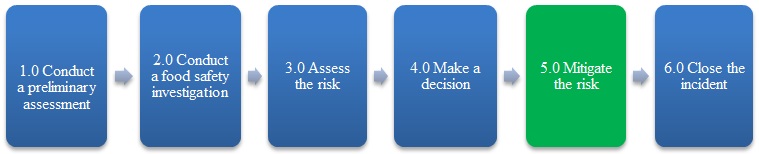 The fifth step, mitigate the risk, is highlighted. Description follows.