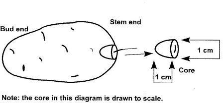 Diagram 1: How to take a core from a tuber. Description follows.