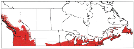 Répartition possible de Taraxacum kok-saghyz au Canada (zones North Carolina State University Animal and Plant Health Inspection Service Plant Pest Forecasting System 5 à 9, dans le sud et la zone côtière de la Colombie-Britannique, le sud de l'Ontario et la côte Atlantique