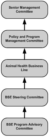 Figure 1: BSE CFIA Governance Structure. Description follows.