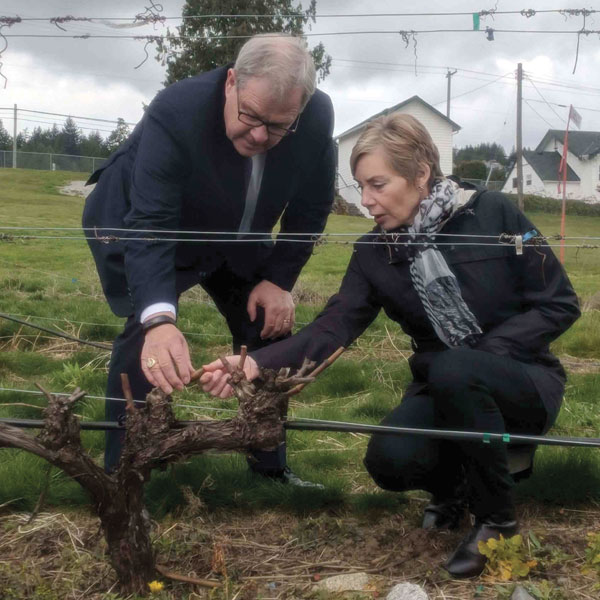 Lawrence MacAulay, Minister of Agriculture and Agri-Food, and Anna-Mary Schmidt inspecting a grapevine at the Centre for Plant Health in Sidney, B.C.