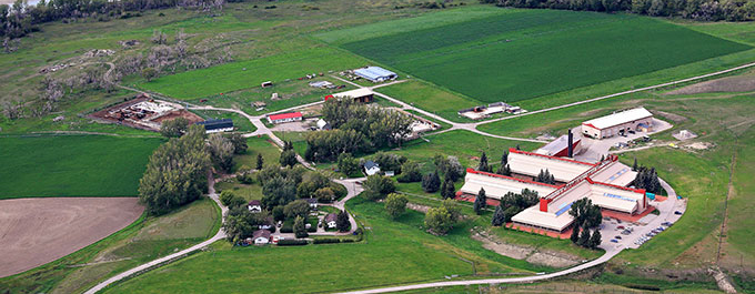Photograph - Aerial shot of the National Centre for Animal Diseases (NCAD) building in Lethbridge, Alberta