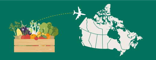 Permits, policies, notices and foreign rules for importing food to Canada.