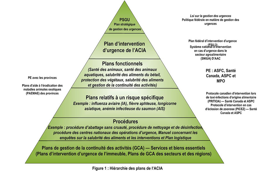 La pyramide décrit la hiérarchie des plans d'intervention d'urgence de l'ACIA. La description suit.