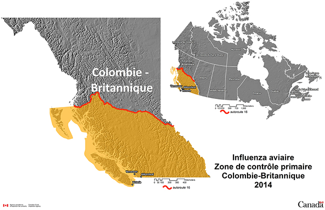 Photo - Carte de la zone de contrôle primaire lors de l'éclosion d'influenza aviaire hautement pathogène de 2014 en Colombie-Britannique. Description ci-dessous.