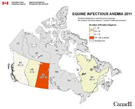 map - equine infectious anemia - Canada