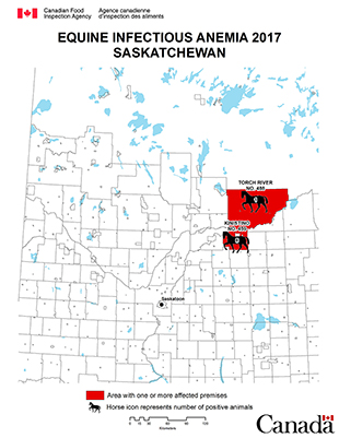 Map - Equine Infectious Anemia 2017, Saskatchewan. Description follows.