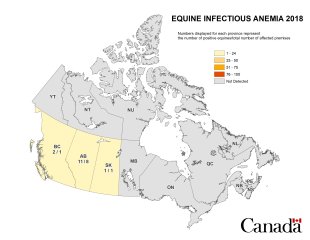 Map - Equine Infectious Anemia 2018, Canada. Description follows.