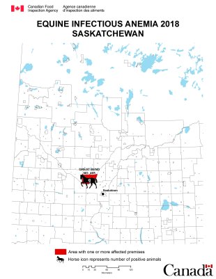 Map - Equine Infectious Anemia 2018, Saskatchewan. Description follows.