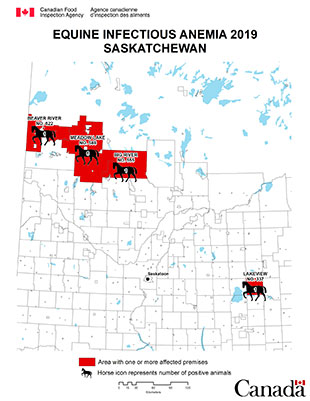 Map - Equine Infectious Anemia 2019, Saskatchewan. Description follows.