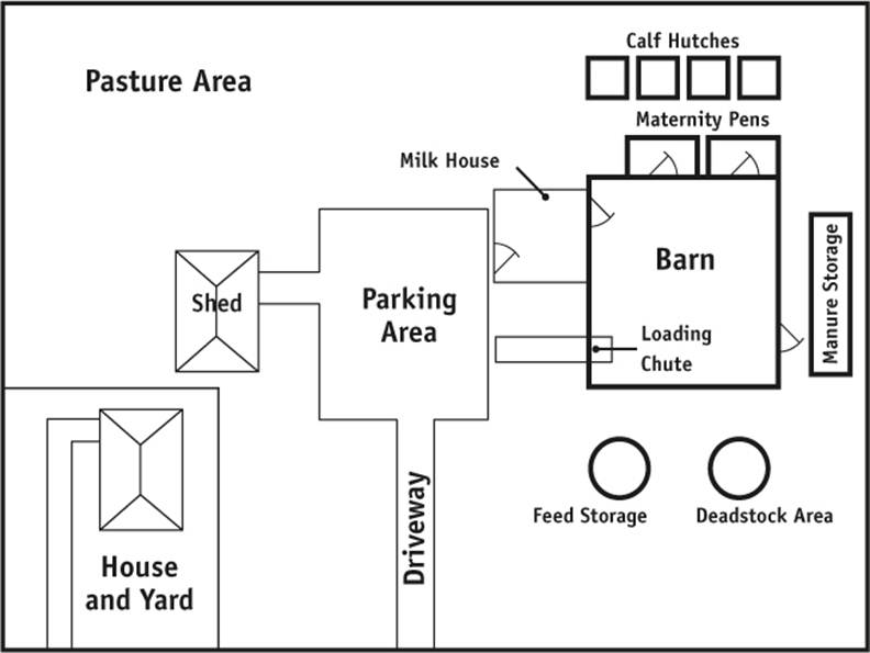 Diagram of a simple dairy farm site. Description follows.