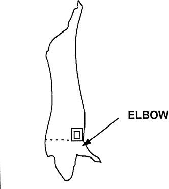 Figure 23: Sampling sites for belly and jowl of swine carcasses