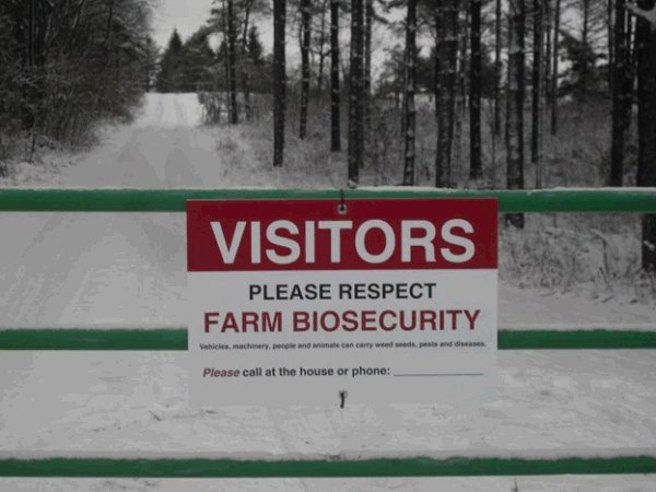 A photo of a square biosecurity sign on a gate. Description follows.