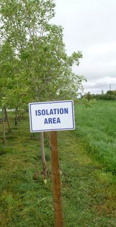 A sign that reads Isolation Area on a post in front of a production area of trees.