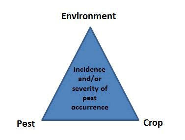 Picture - The Plant Pest Triangle