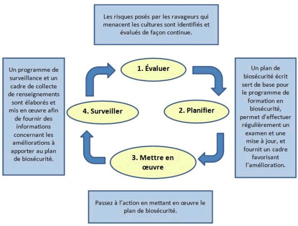 Image - Cycle des activités de biosécurité