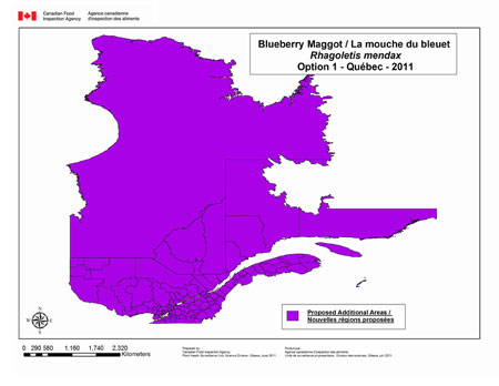 This map depicts the entire province of Quebec as being regulated for blueberry maggot under option 1 for Québec.