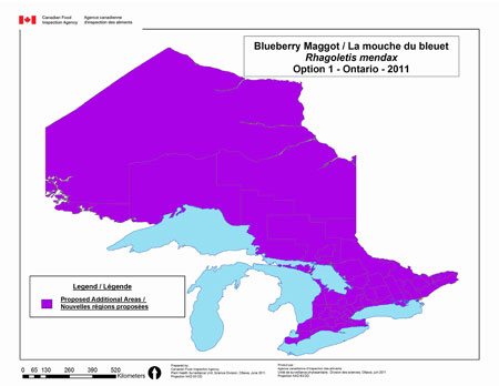 This map depicts the entire province of Ontario as being regulated for blueberry maggot under option 1 for Ontario.